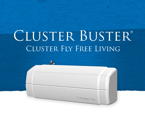 Cluster Buster | 10 Pack